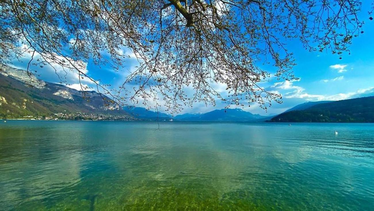 L'Echappee Du 36 - 4 Chambres Dans Le Triangle D'Or A 100M Du Lac, Parking Gratuit Annecy Exterior foto